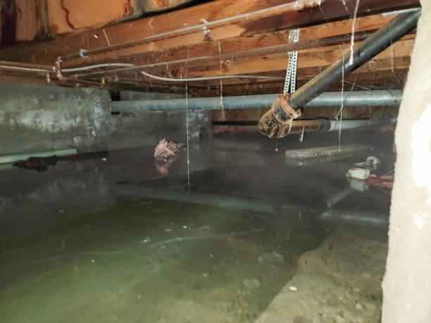 Best Emergency water damage restoration  in Mercersburg, PA