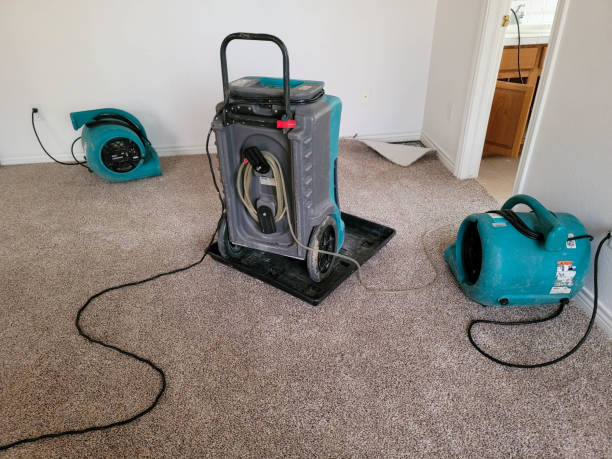 Best Flood restoration services  in Mercersburg, PA