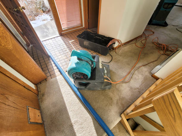 Best Professional water damage repair  in Mercersburg, PA